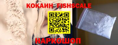 стаф Будённовск