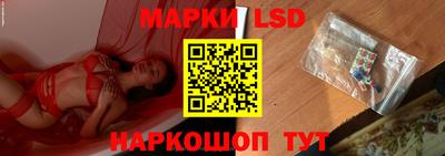 стаф Будённовск