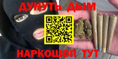 стаф Будённовск