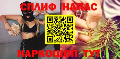 стаф Будённовск